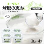 ふるさと納税 水上村 球磨の恵みヨーグルト(砂糖不使用)1kg入×4パック