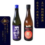 白杉酒造 丹後のひかり 純米吟醸 木下酒造