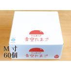 fu.... налог Arita река блок синий пустой Tama .M размер 60 штук входит 