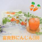 JAふらの富良野にんじん100 30缶セット