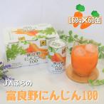 JAふらの富良野にんじん100 60缶セット