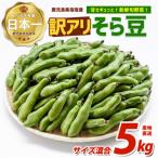 豆類 新鮮旬野菜 ご そら豆約5kg 指宿促成青果