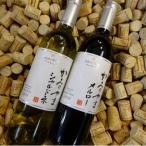 ふるさと納税 山梨市 サントネージュワインが贈るシャルドネとメルロー2本セット