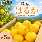 レモン じゃないよ はるか だよ 5kg
