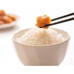 食品添加物無添加辛子明太子 きわめんたい