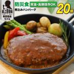 ふるさと納税 日向市 【ふるさと納税】非常食 5年保存 防災食 煮込み ハンバーグ 115g×20個 長期保存 日本ハム