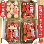 ふるさと納税 日光市 4種のいちご食べ比べ!とちおとめ,スカイベリー,ミルキーベリー,とちあいかのBセット[各約260g]