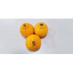 訳あり不知火 約4kg