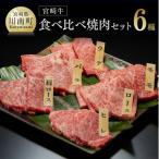最高賞内閣総理大臣賞受賞 宮崎牛焼肉 6種食べ比べセット