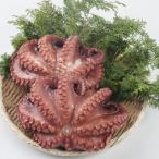 fu.... налог юг . много блок . остров производство * собственный производства ...(..)600g( без добавок разрядник ) sake. кнопка, ручка настройки . осьминог pa.!CAS рефрижератор .. тест отлично 