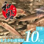 鮎の養殖産量日本一のより とよかわ鮎10kgセット