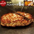 ふるさと納税 花巻市 GIFTON 岩手県産四元豚 手ごね 生ハンバーグ 150g×6個