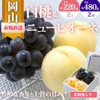詰合せ 白桃とニューピオーネ