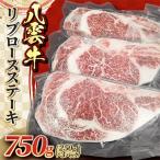 八雲牛 リブロース 750g