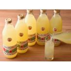 ふるさと納税 深川市 北海道深川産りんごジュース 1000ml×6本セット