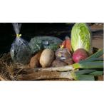 fu.... налог Сакура город { поле из прямая поставка }.. овощи 10 вида комплект 