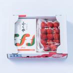 ふくおか産あまおう&amp;明太子290g