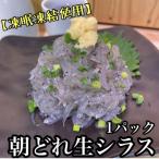 新鮮 朝どれ 生しらす 食べきり1パック