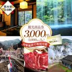 観光商品券3千円 1000円×3枚