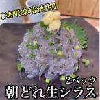 新鮮 朝どれ 生しらす 小 2パック
