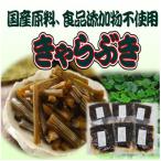 山蕗浅炊き きゃらぶき 無添加 100g×6袋