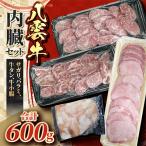 八雲牛内臓 サガリ ハラミ 牛タン 牛小腸 セット