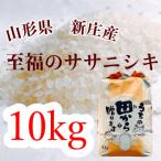 至福のササニシキ精米 5kg×2袋