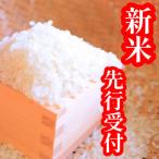 先行受付 令和8年産 厳選はえぬき 精米 10kg