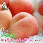 ふるさと納税 山梨市 農家直送 桃名産地 山梨の桃 秀品 約3kg