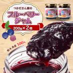 サニーバつかだ つかださん家のブルーベリージャム 200g×2…