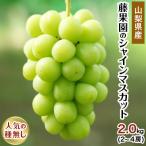ふるさと納税 笛吹市 藤果園のシャインマスカット 2.0kg