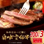 奥出雲和牛肉サーロインステーキ200g×3枚