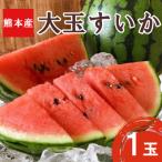 fu.... налог мир вода блок Kumamoto префектура мир вода блок производство большой шар арбуз 1 шар 