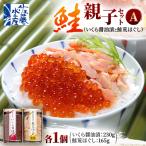 ふるさと納税 石狩市 佐藤水産の鮭親子セットA　( いくら 醤油漬 と 鮭 荒ほぐし )