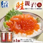 佐藤水産 鮭親子セットB 鮭ルイベ漬 と いくら