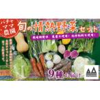 fu.... налог Shimotsuma город сельское хозяйство . вызывающий чувство гордости страстность овощи комплект 9 товар ( вид случайный )