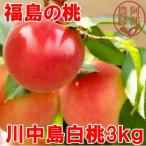 ふるさと納税 須賀川市 阿部農縁 福島の桃 川中島白桃3kg(8〜12玉) ギフト・贈答用 ふくしまの完熟もも