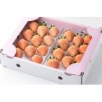 ふるさと納税 佐賀県 【農家直送】ほんのりピンク白いちご「淡雪」約220g×2パック(A4602-A04)