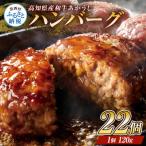 創業50年老舗レストランの和牛あかうしハンバーグ120g×22ケ