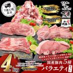 豚肉バラエティ5種セット4kg