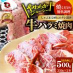 やわらか牛ハラミ焼肉 秘伝のタレ漬け500g 250g×2P