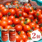 保存料 食塩 化学調味料不使用 大 ★トマト農家さんのトマト…
