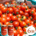 トマト農家さんのトマトピューレ 6個セット