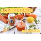 ふらのにんじん100 160g×30本入