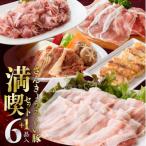 ふるさと納税 川南町 さんきょうみらい豚 『満喫セット(ハンバーグ付き)』