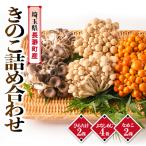 fu.... налог длина . блок .. . набор (.. симедзи 4 АО, намеко 2 АО, обычный ..2 АО )