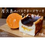屋久島のバスクチーズケーキ