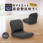 産学連携 背中を支える美姿勢座椅子5 ベージュ_