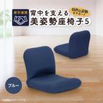 産学連携 背中を支える美姿勢座椅子5 ブルー