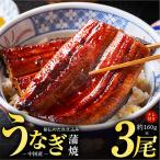 うなぎ蒲焼 合計480g